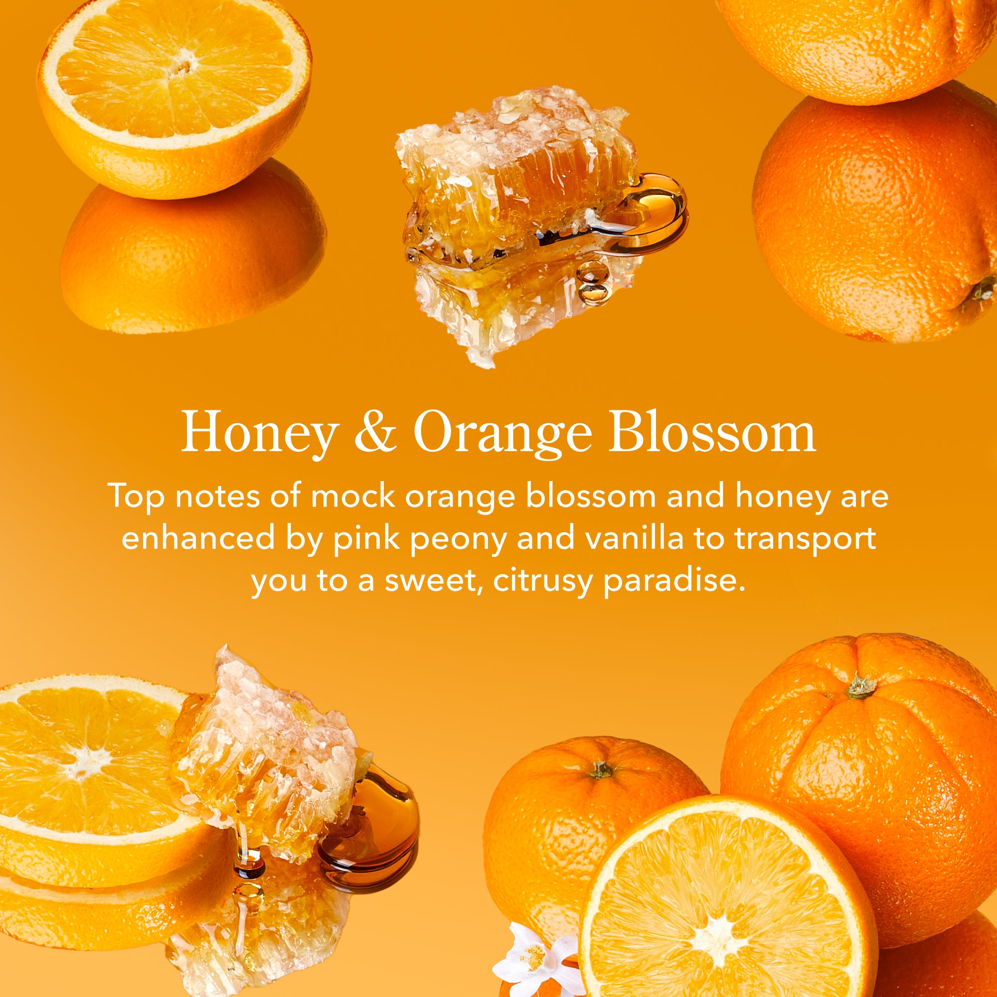 Honey & Orange Blossom Hand Cream