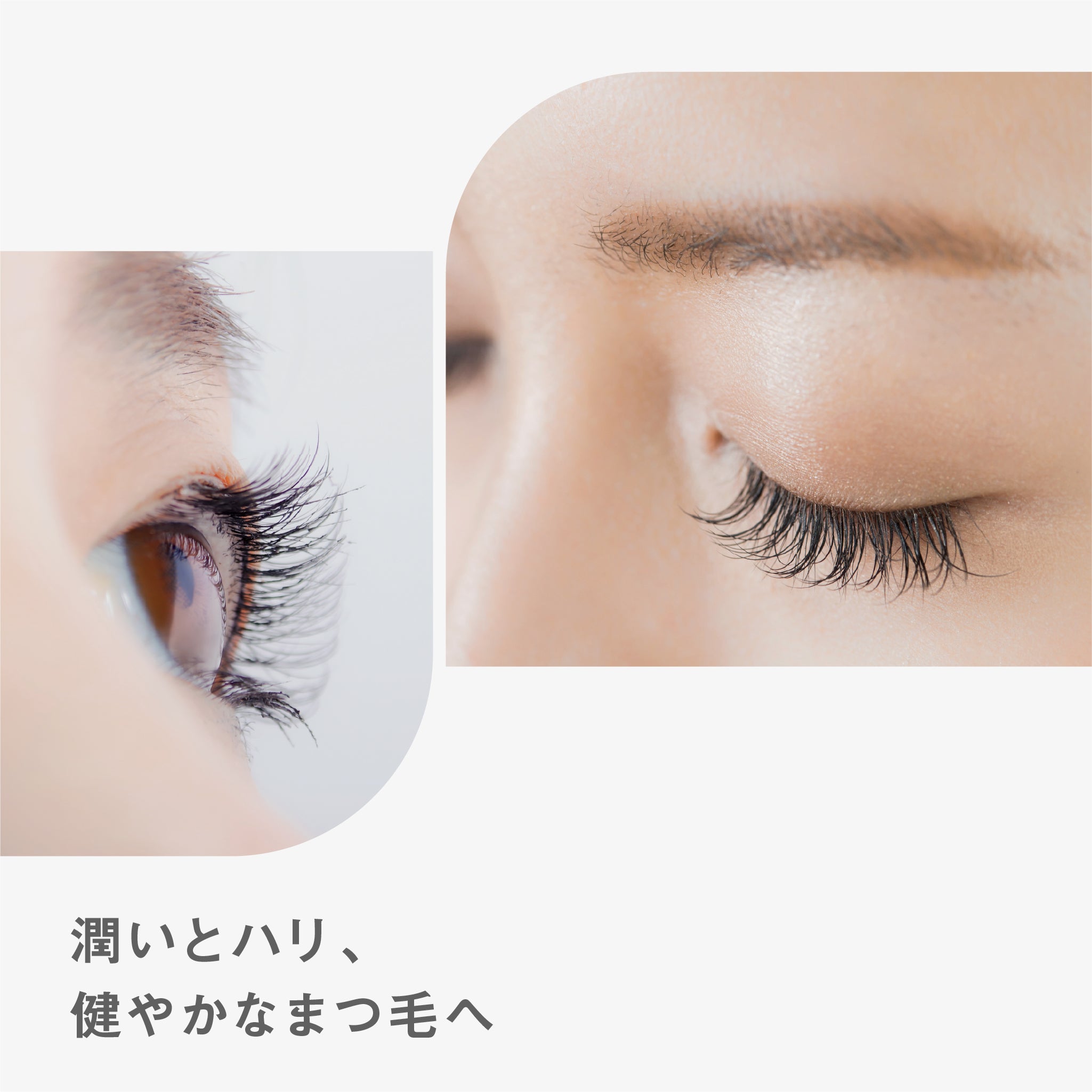 BF アイラッシュセラム｜better future® – 【公式】better future