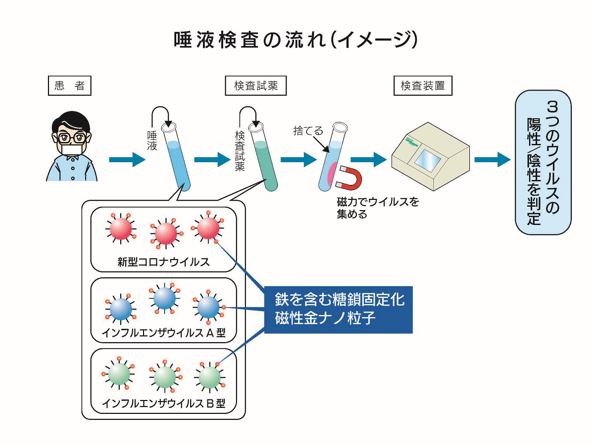 バイオ・ヘルスケア スタートアップ総覧 2023-2024：日経バイオテクONLINE