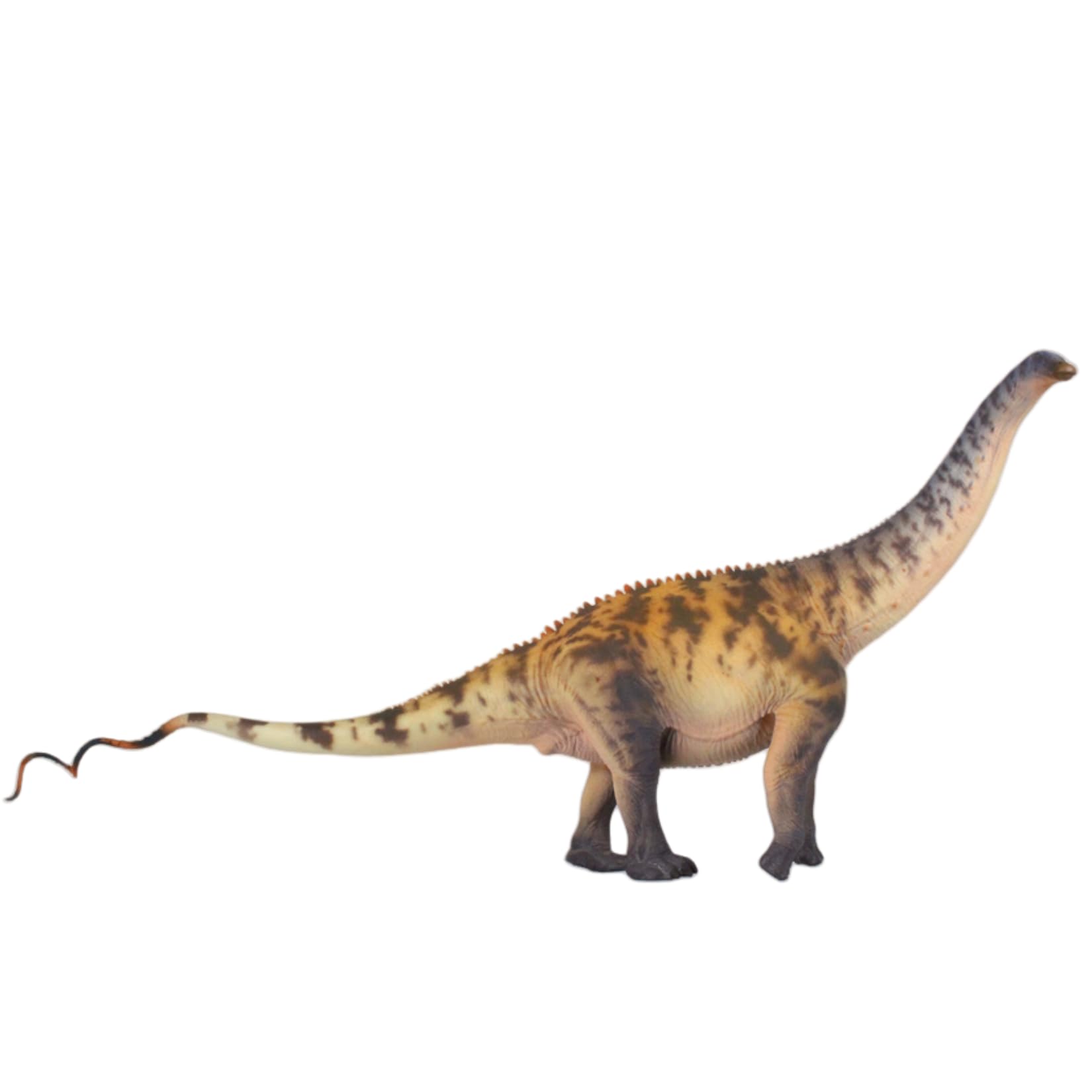 HAOLONGGOOD 1/35 サイズ ブロントサウルス 45.5cm級 PVC CE認証 塗装