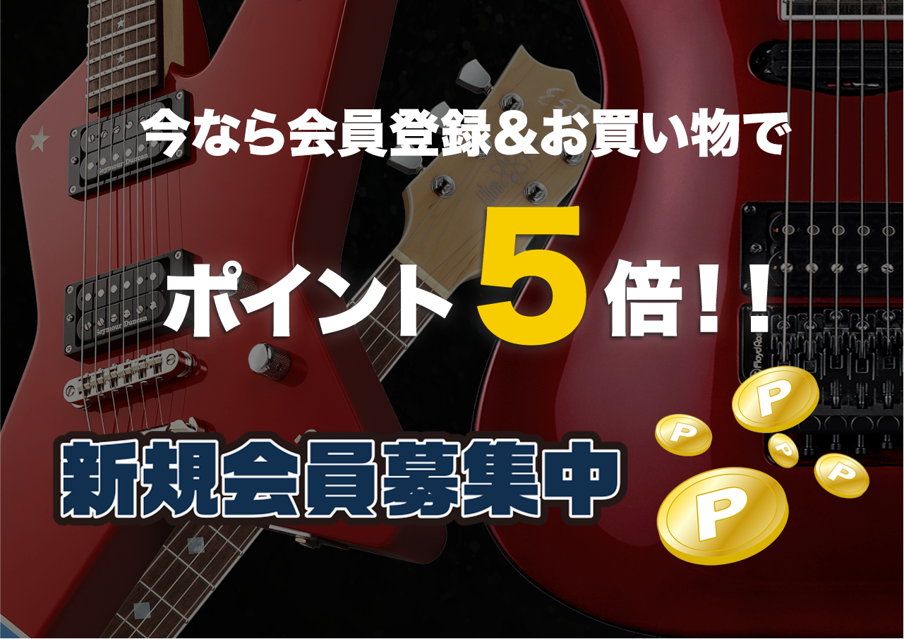 Seymour Duncan(セイモアダンカン) Mag Mic [SA-6] (アコースティック