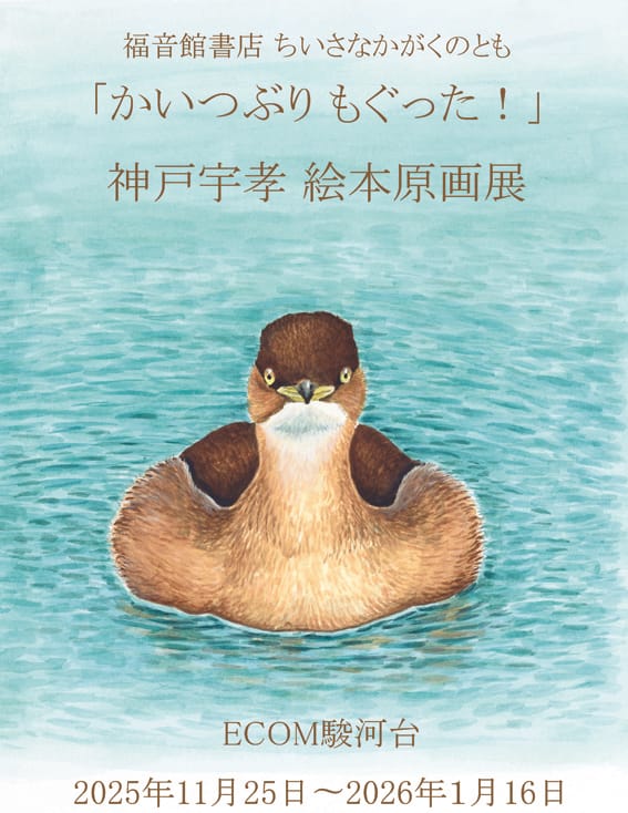 美品【BIRDER 】2023年 BIRDER 2023年 09 月号 [雑誌] |本 | 通販 | Amazon