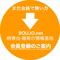 日本農業害虫大事典 | 農業害虫や病害の防除・農薬情報｜病害虫・雑草