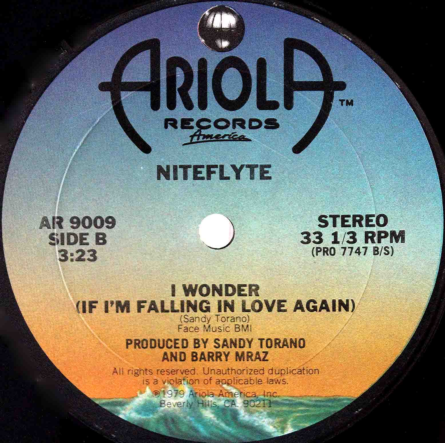 Niteflyte / If You Want It (US 12`Special Disco Version) 79