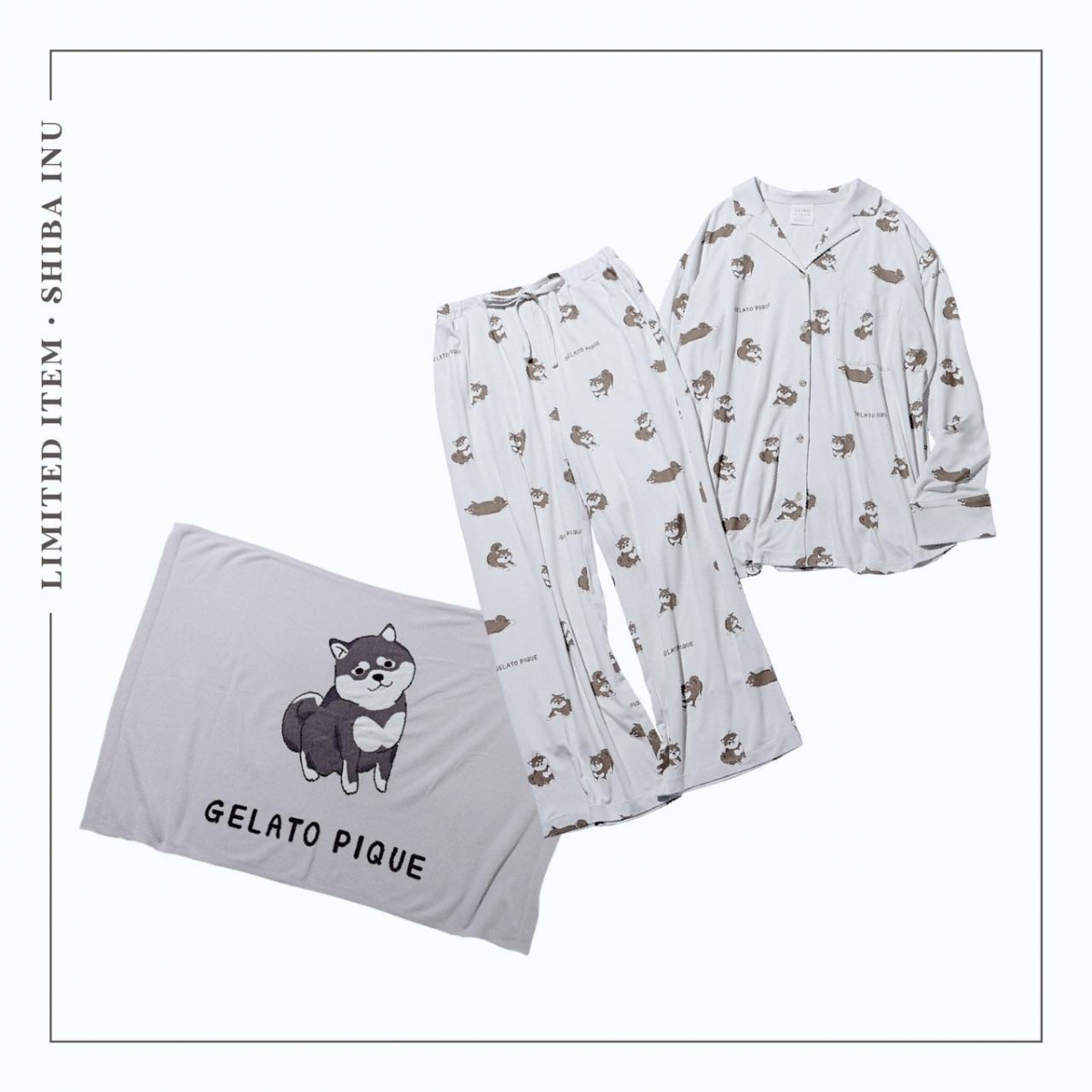 8/23(WED)柴犬モチーフの秋の新作コレクション発売決定！ | ジェラート