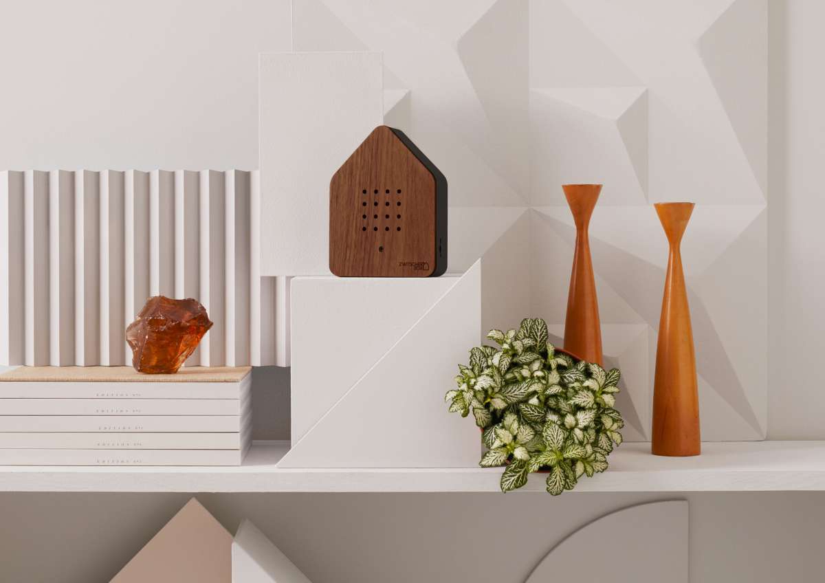 Zwitscherbox / Walnut | Brainstream USA