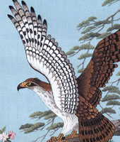 東京文化刺繍キット 鷹 モチーフ