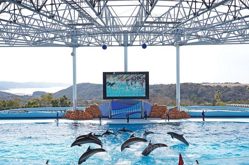 アドベンチャーワールドのテーマソング6選！人気の歌から平原綾香さん