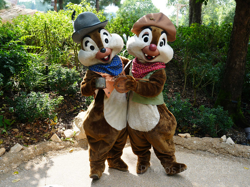 チップ＆デール | チップとデール LINE レスキュー・レンジャーズを