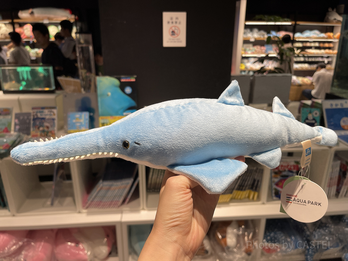 ノコギリエイぬいぐるみ（アクアパーク品川グッズ）| キャステル