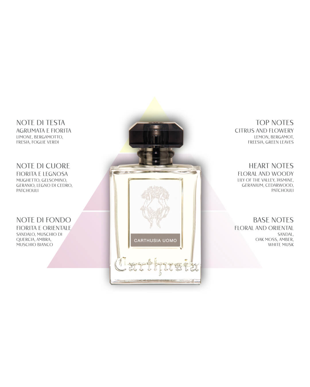 Carthusia-Piramidi-Olfattive.