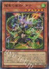 PSE 耀聖の風詩レギナ 販売 | [BLZD] BLAZING DOMINION | 遊戯王 OCG