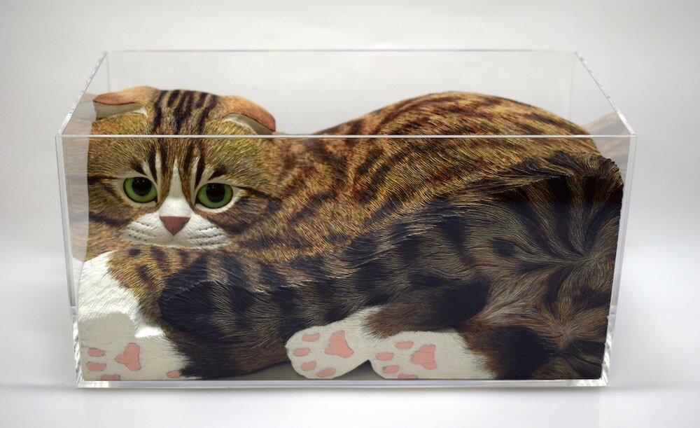 透明な箱に入っているのは…木彫りの猫！注目作家のアート作品を集めた