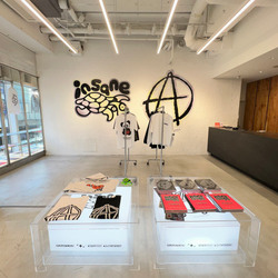 BEAMS T（ビームスT）insane × ANARCHIC ADJUSTMENT / ART BOOK（音楽