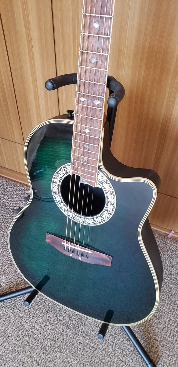 Pro Martin EA350BLS - turugi-punkの日記