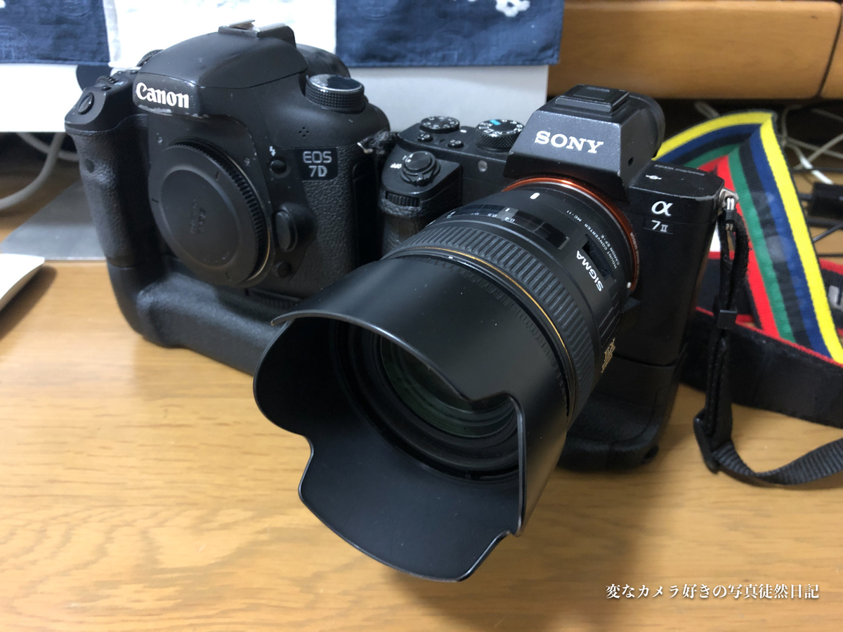 2020年 最初のジャンクレンズ 「SIGMA 30mm F1.4 EX DC HSM」 - 変な