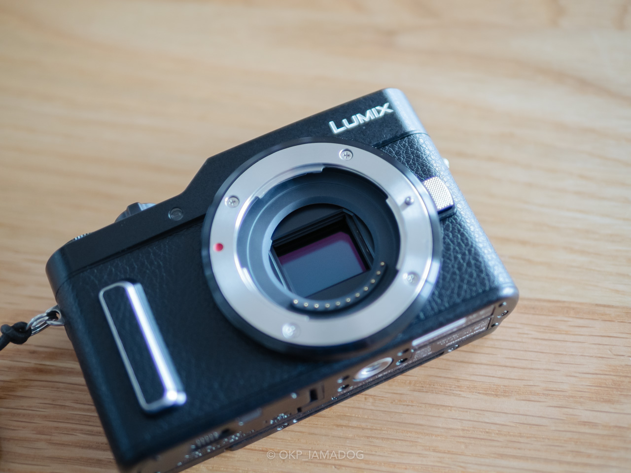 パナソニック LUMIX DC-GF10を購入、GM1に変わる小型軽量サブ機として