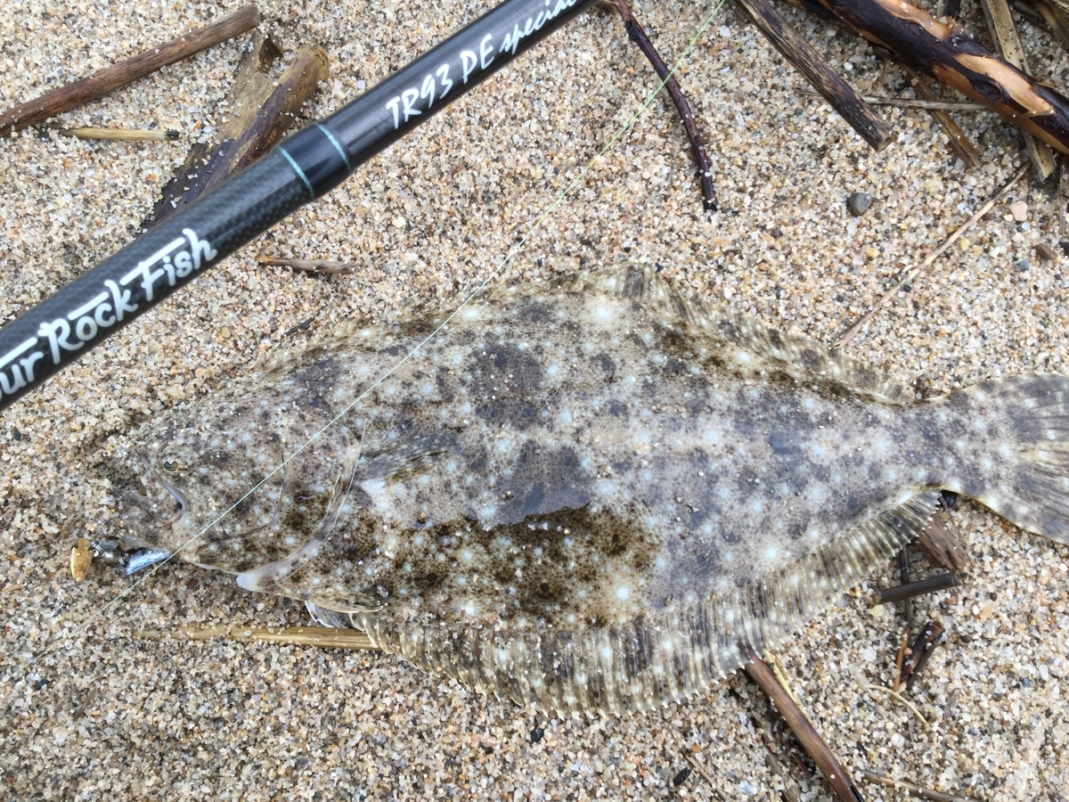 魚種限定解除の名竿インプレ【TR93PEスペシャルhouri】スーパーライト