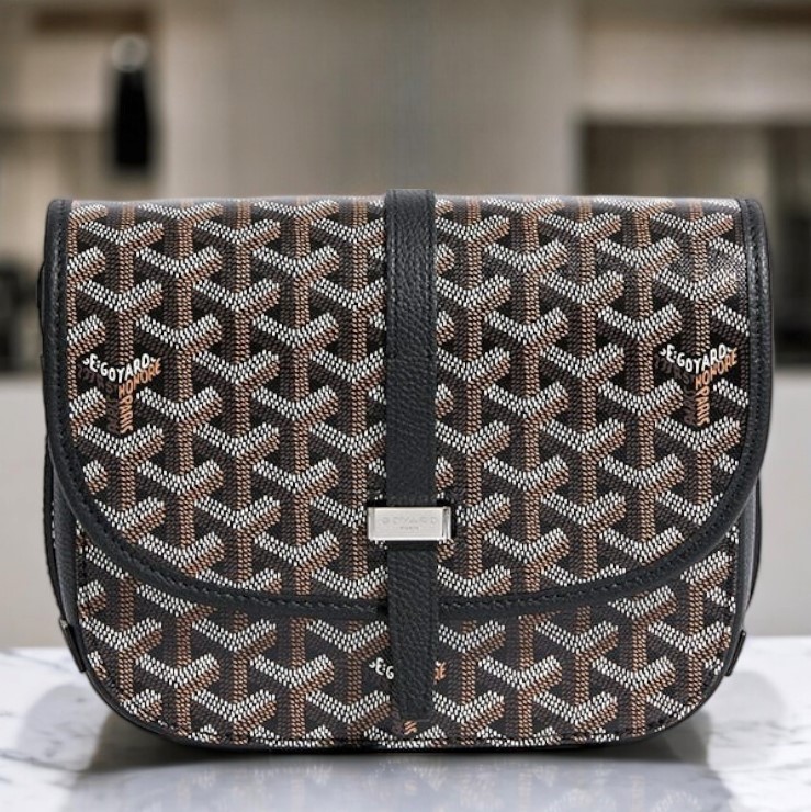 海外希少【GOYARD/ゴヤール】ベルヴェデーレPM バッグ (GOYARD