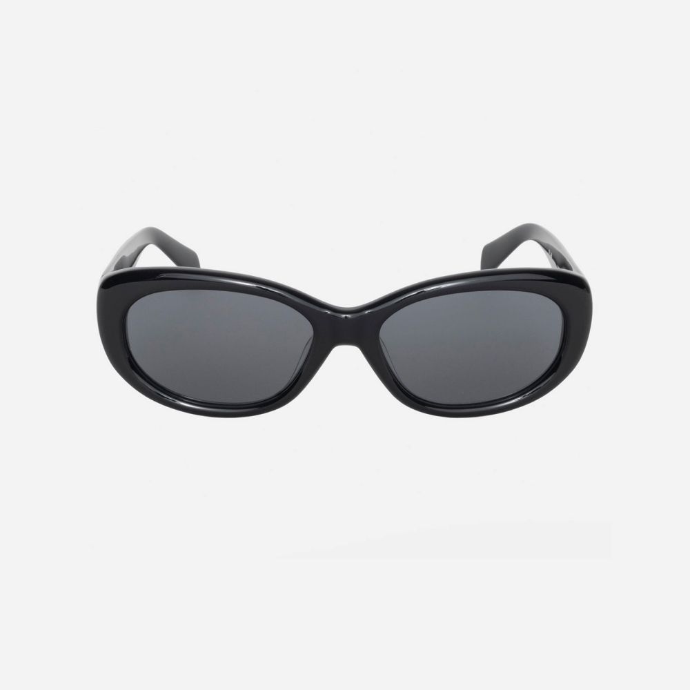 Stussy』☆June Sunglasses☆Unisex☆Acetate sunglasses☆ (STUSSY