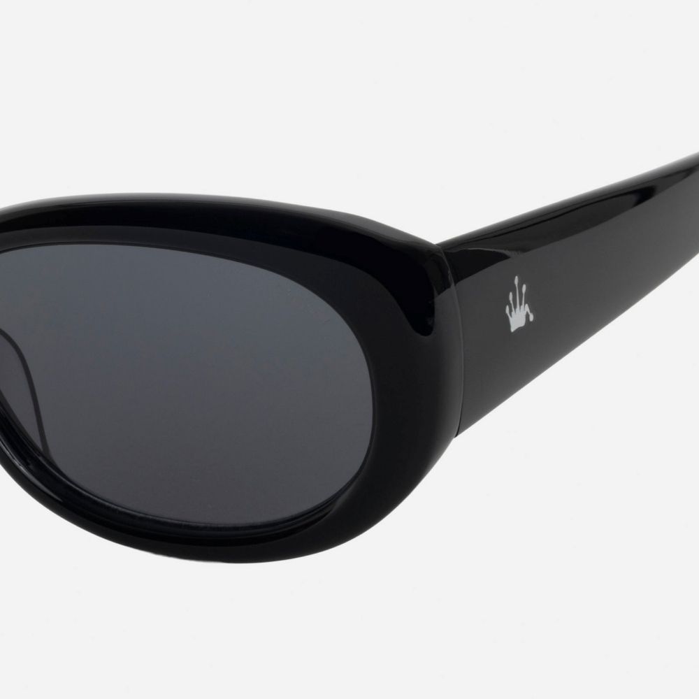 Stussy』☆June Sunglasses☆Unisex☆Acetate sunglasses☆ (STUSSY