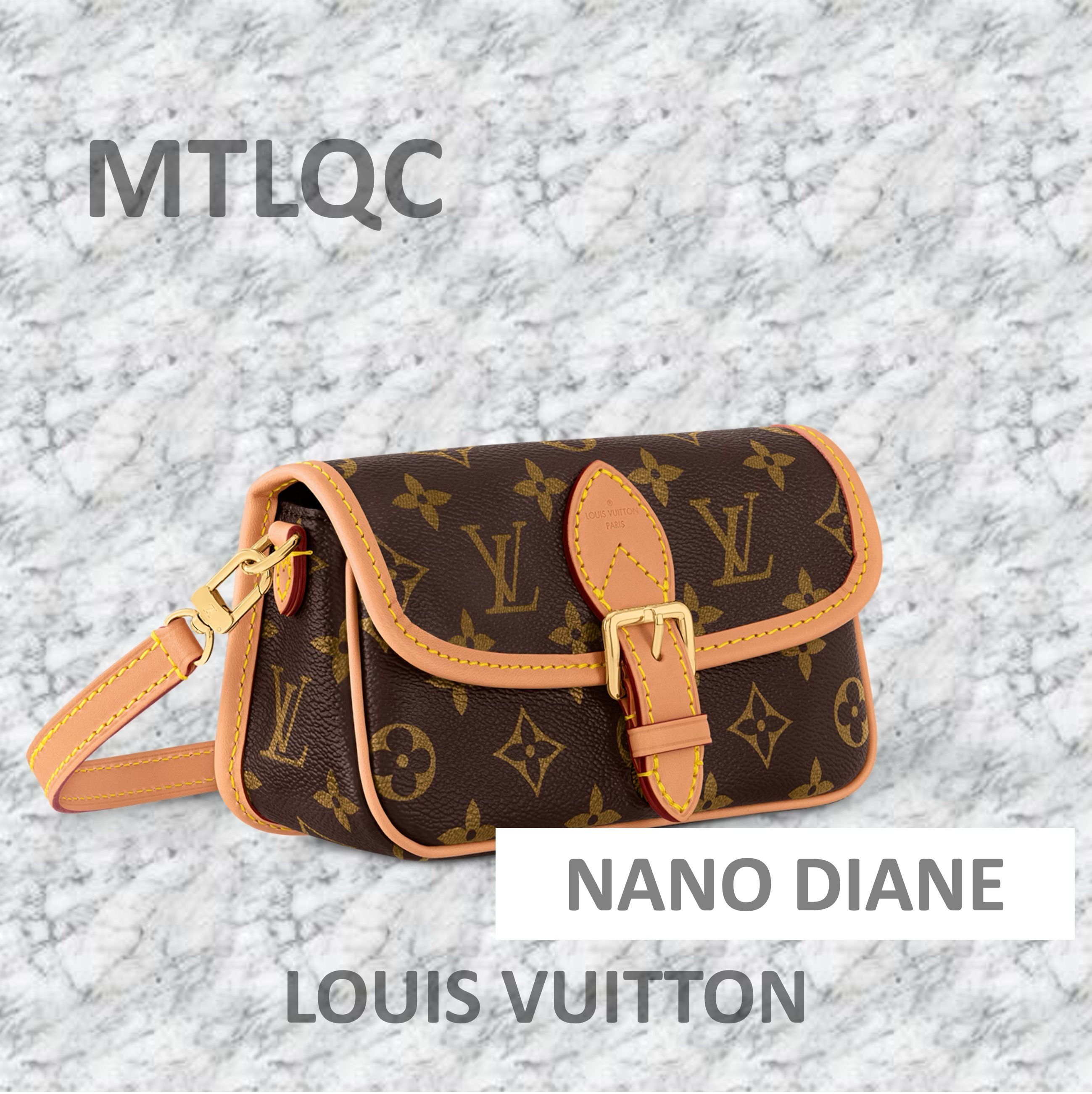 Louis Vuitton ルイヴィトン Nano Diane ナノディアヌ バッグ (Louis