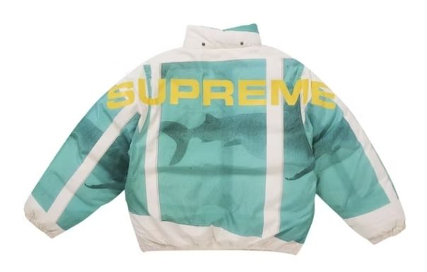 ☆25SS WEEK1☆Supreme Damien Hirst Down Puffer Jacket (Supreme