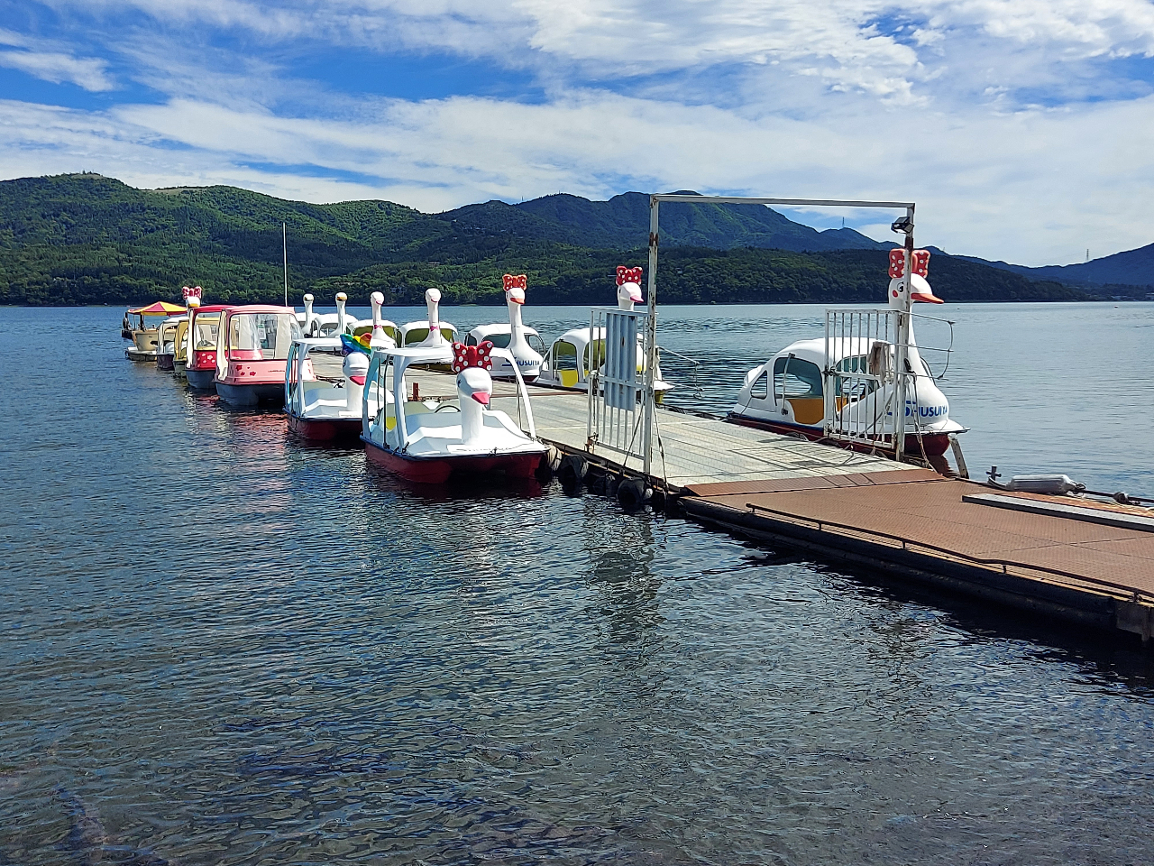 当日予約OK！】4人のりスワンボートで山中湖を満喫！ /しゅうすいや