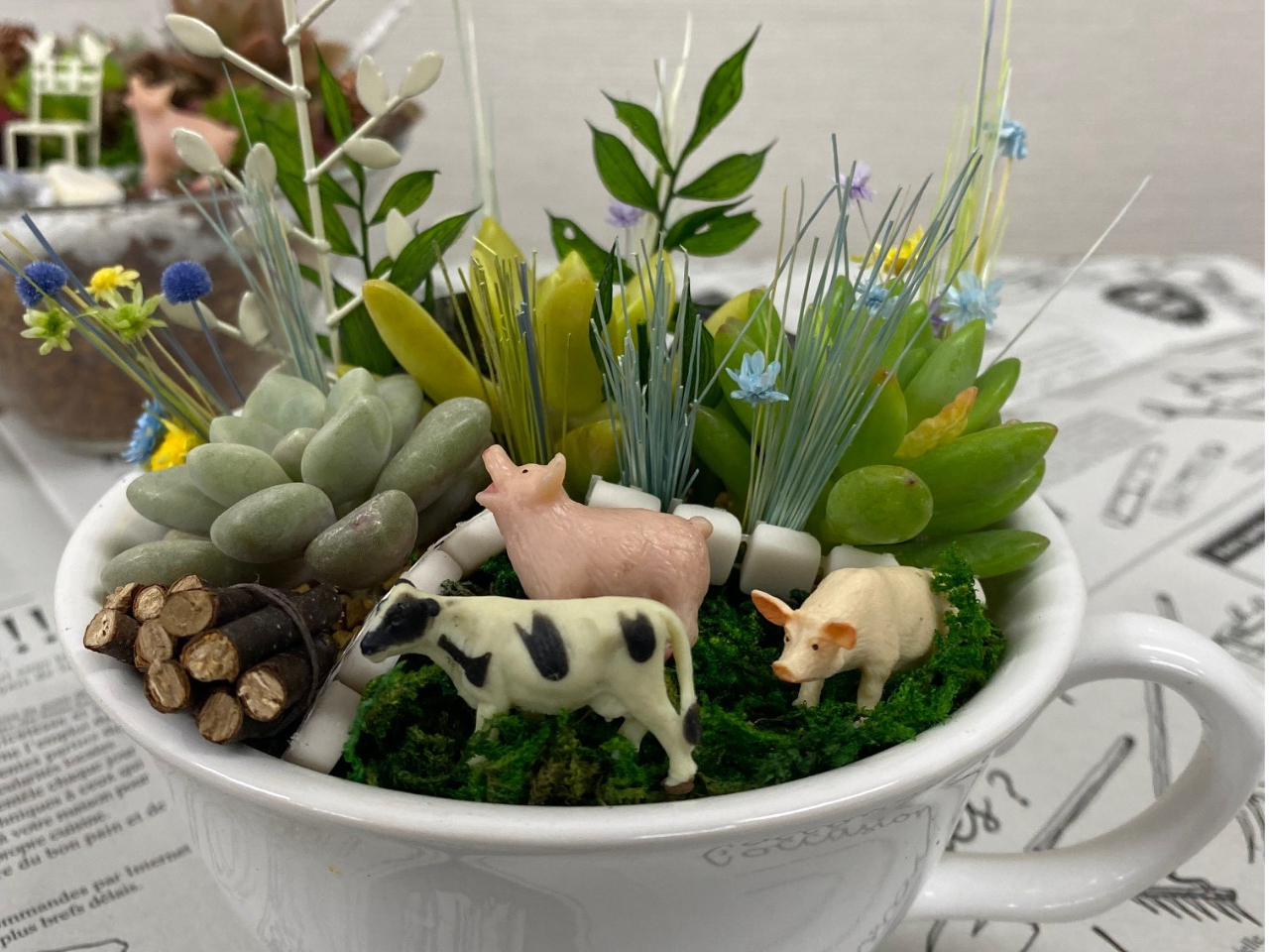 当日予約可！カップルや男性にも人気！箱庭風ミニチュアガーデン【多肉