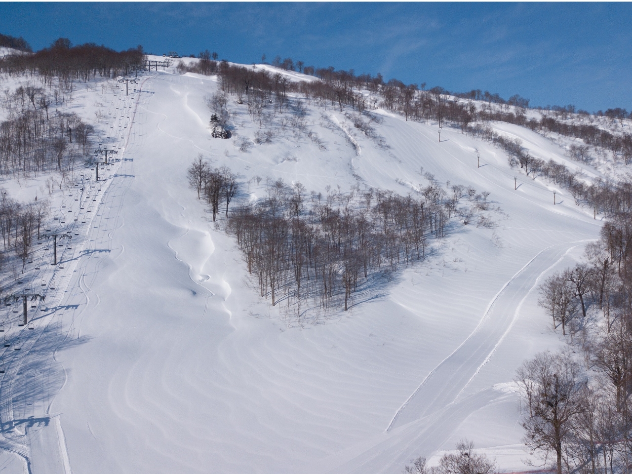 奥只見丸山スキー場 リフト券 ２枚セットランチソフトドリンク付き 日帰り】マイカー／奥只見丸山スキー場＜リフト券・ランチ＆ドリンク券付＞