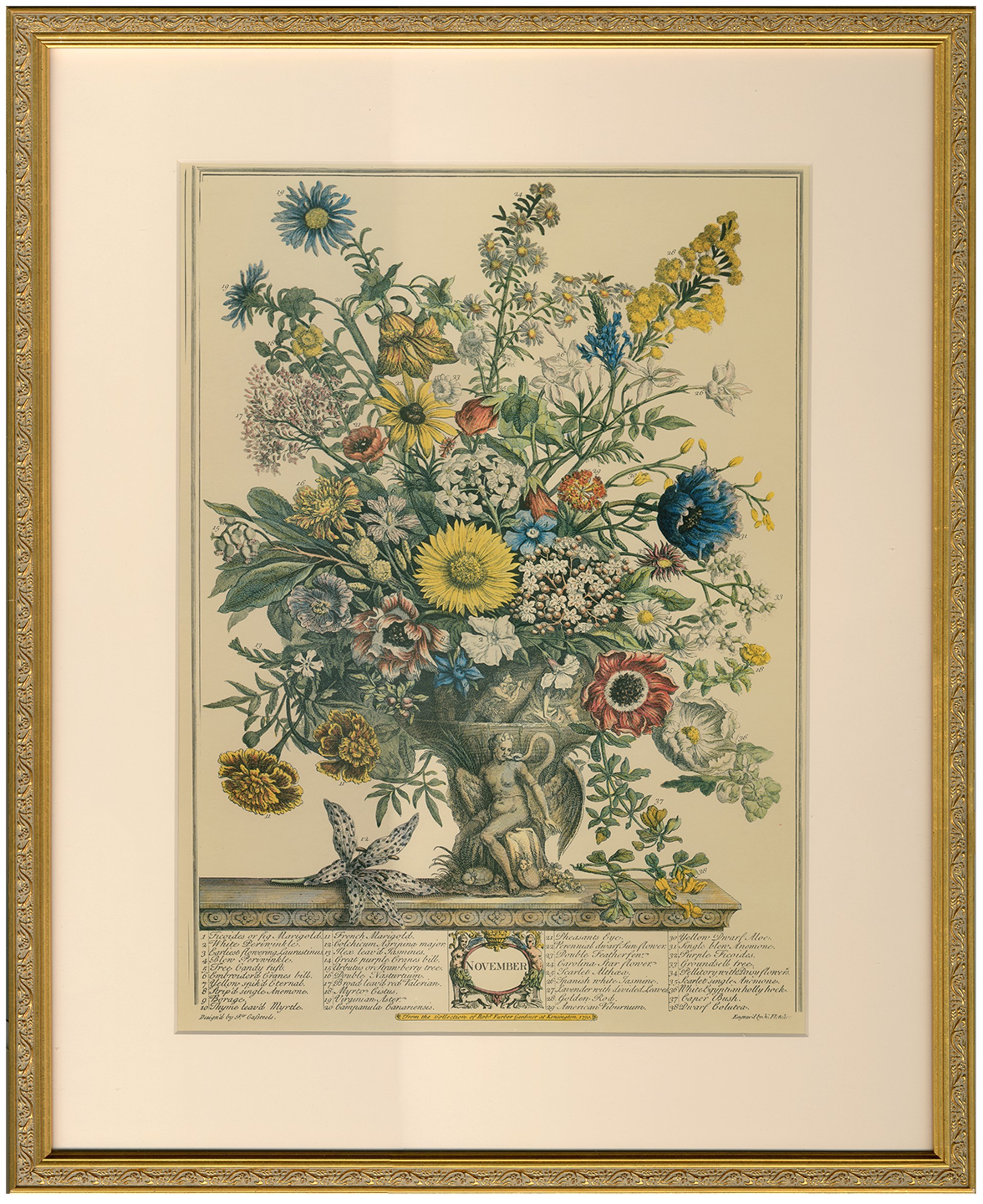 Twelve Months of Flowers from the Collection of Robert Furber