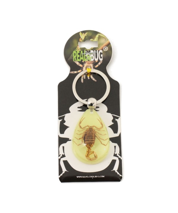 bPr BEAMS（bPrビームス）REAL BUG / DROP KEY CHAIN GLOW IN THE DARK