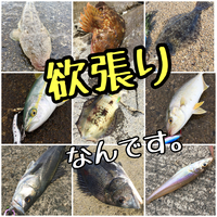 魚種限定解除の名竿インプレ【TR93PEスペシャルhouri】スーパーライト