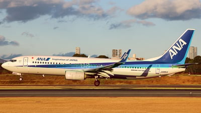 JA88AN - Boeing 737-8AL - All Nippon Airways - Flightradar24