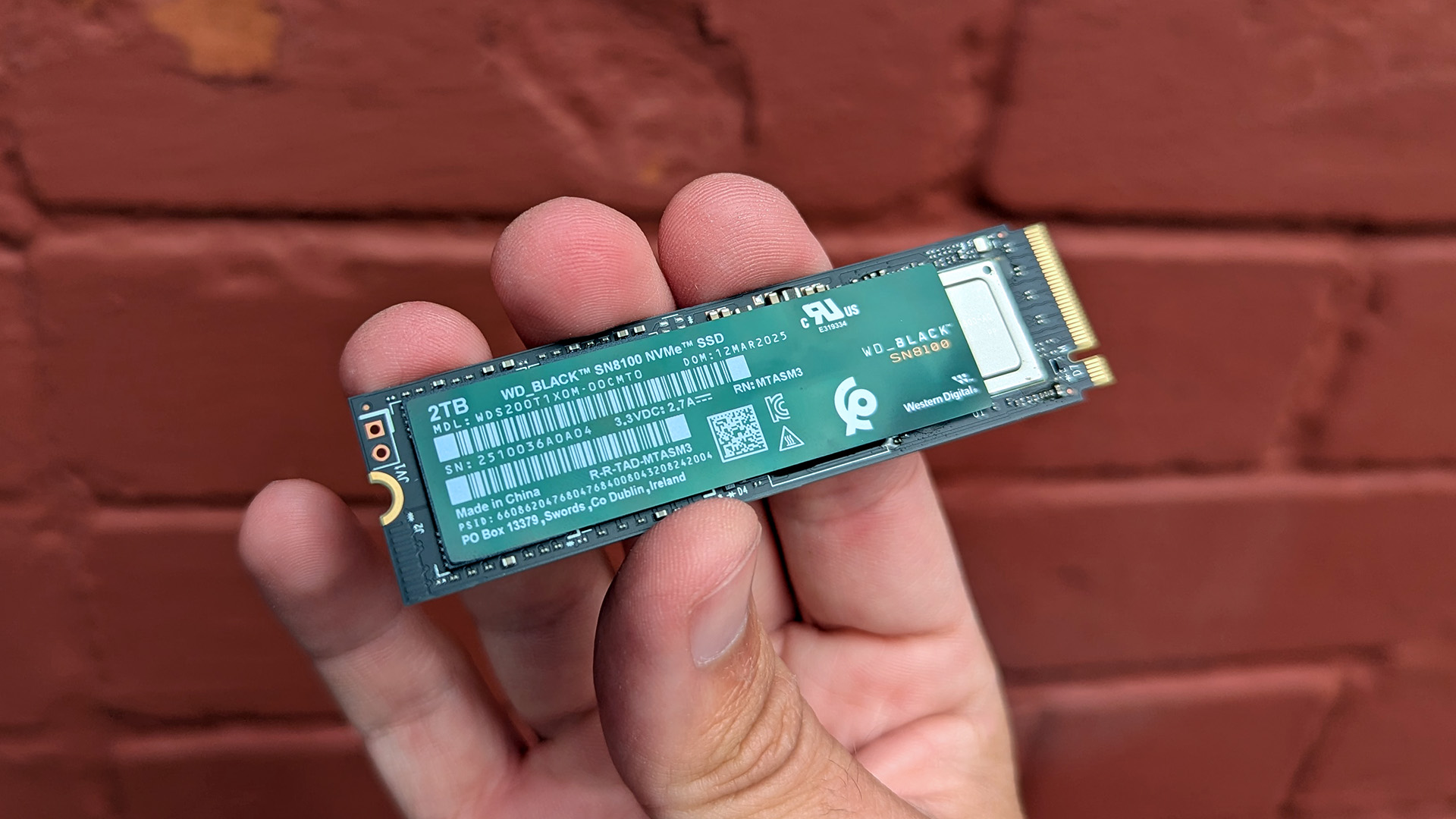 WD_BLACK SN8100 PCIe 5.0 NVMe SSD review: Double read speeds