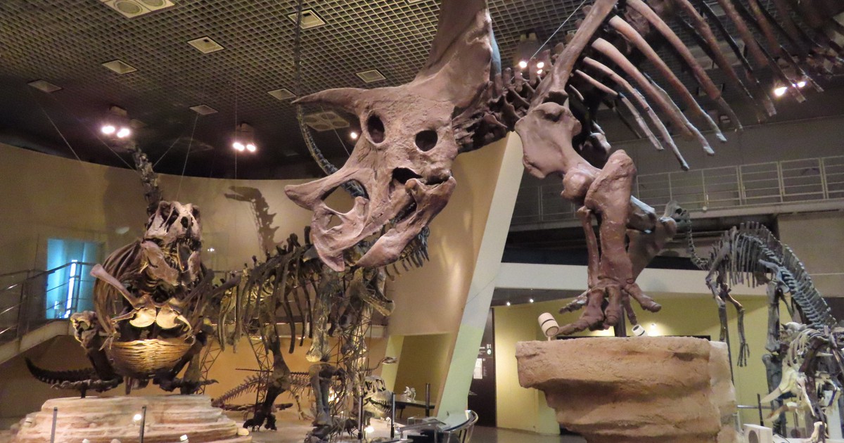 資金難の科博、9億2000万円集めCF終了 「支持が目に見えた」 [写真特集