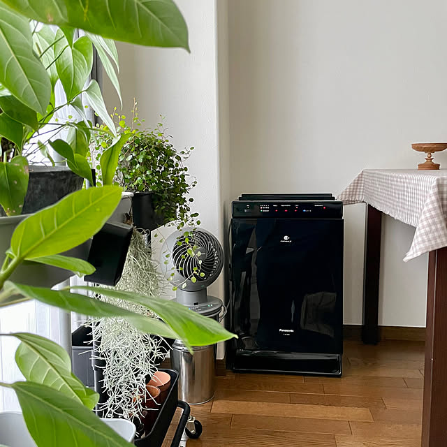 パナソニック Panasonic F-VC70XS-K 加湿空気清浄機 ブラック [適用畳