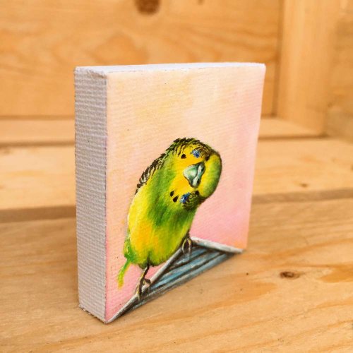 マレーシア セキセイインコの油絵 5 枚セット。ミニインコオリジナルの