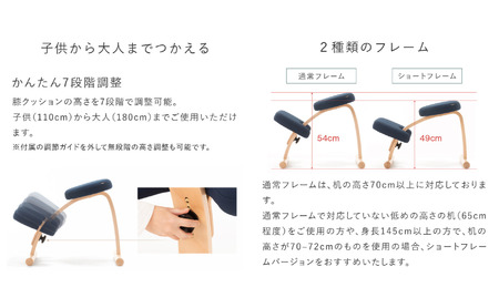 椅子 バランスイージー カバー付き 選べる フレーム カラー 姿勢矯正