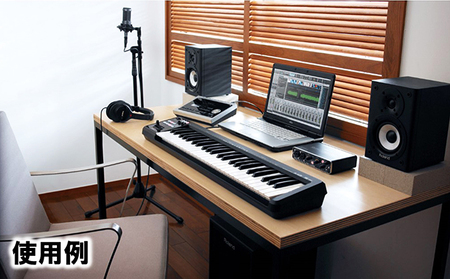 Roland】MIDI キーボード コントローラー A-49-WH【配送不可：離島