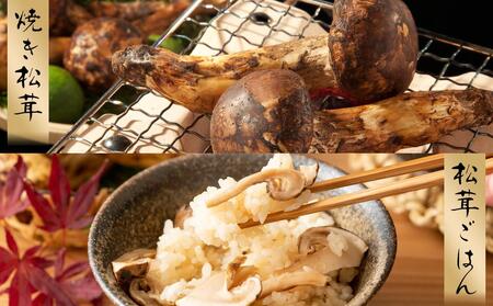 2026年発送分］希少な国産松茸「高野松茸」300g 香り・歯応え・味