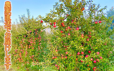 田子の無添加りんごジュース1L×6本 長畝正幸さん生産直送 | 青森県田子