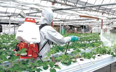 やまびこ 共立 背負式 動力噴霧機 SHRE20DX 燃料同梱 ／ 噴霧機 噴霧器