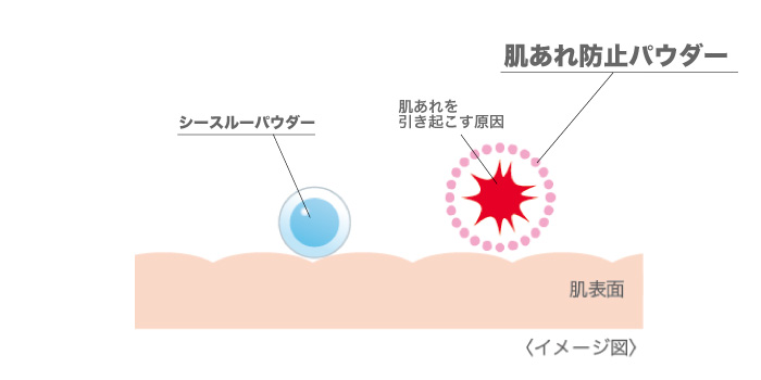 DONACERE | シャンソン化粧品