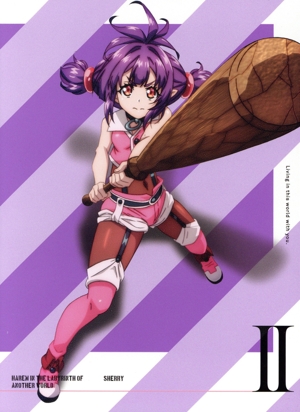 異世界迷宮でハーレムを Blu-ray BOX 下巻(Blu-ray Disc) 中古DVD