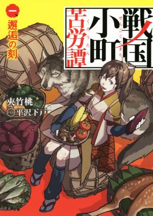 書籍全巻セット・まとめ買い】戦国小町苦労譚(単行本版)セット