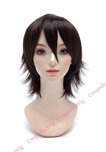 Fate/Grand Order アルジュナ 風 ウィッグ 【カラー変更可】 Fate 風