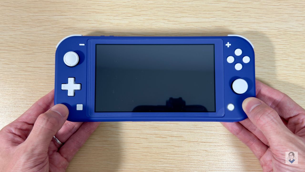 初代 Switch / Switch Lite の同梱品・付属品を写真で分かりやすく紹介