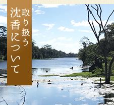 シャム沈香・伽羅・香木専門店 香琳(こうりん)