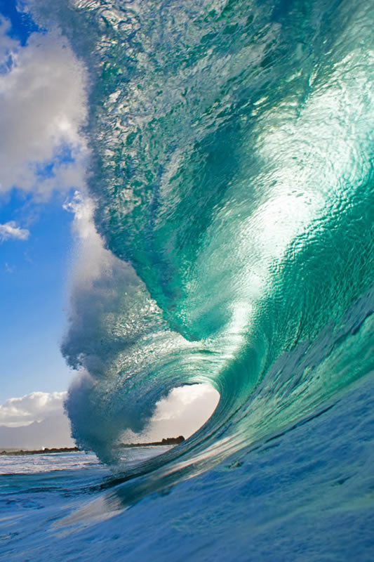 Double Mint - Clark Little Photography